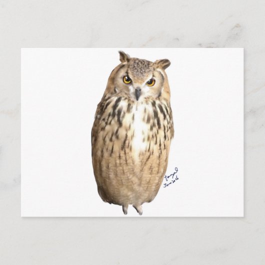 Gestreepte uil briefkaart (Voorkant)