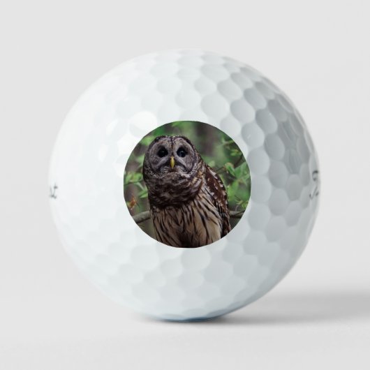 Gestreepte uil golfballen (Voorkant)