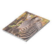 Gestreepte zebra van dichtbij in een mopani-bosfot notitieblok (Gedraaid)