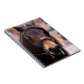 gestremd paard notitieboek (Rechterzijde)