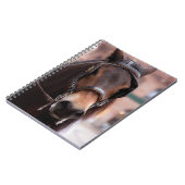 gestremd paard notitieboek (Linkerzijde)