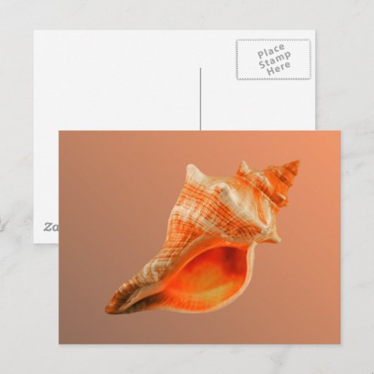 Gestripte Vos Briefkaart (Voorkant / Achterkant)