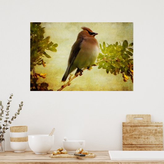 Gestructureerde Posterprint van de Cederpestvogel Poster (Keuken)