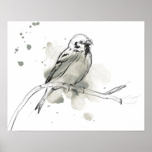 Gestural Bird Study Poster