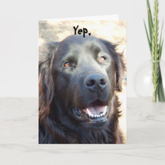 Get Well beroemd gemaakt door Dog Humor Greeting Kaart (Voorkant)