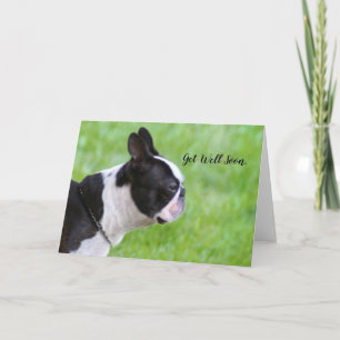Get Well Bientôt Boston Terrier carte de voeux