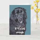 Get Well~ Carte de chien de Terre-Neuve (Fleur jaune)