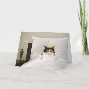 Get Well Cat Kaart Grappig Schattige Schattig Best