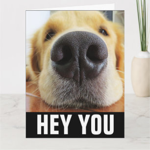 GET WELL DOG HEALING VIBES WENSKAART KAART