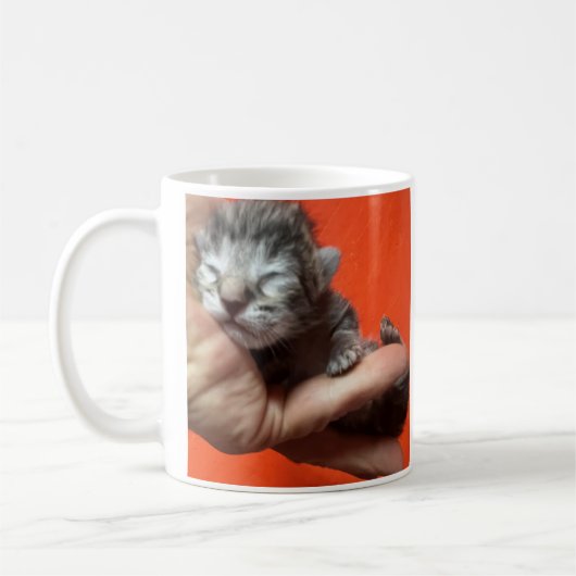 Get Well, I Care About You, Kitten Coffee Mug (Gauche)