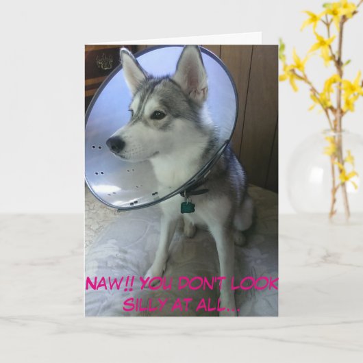 Get Well Kaart #2 (Grappig) (Gele Bloem)