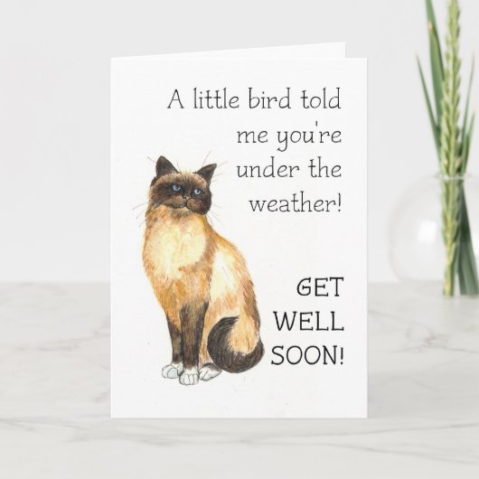 Get Well Kaart - Birman Cat (Voorkant)