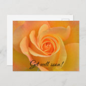 Get well rose briefkaart (Voorkant / Achterkant)