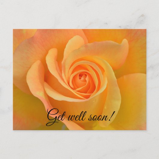 Get well rose briefkaart (Voorkant)