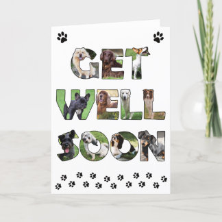 Get Well Soon hondenkaart - olieverfschilderij woo Bedankkaart