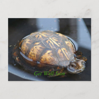Get well soon turtle Postcard Briefkaart