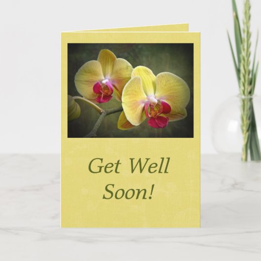 Get Well Yellow Moth Orchids - Phalaenopsis Kaart (Voorkant)