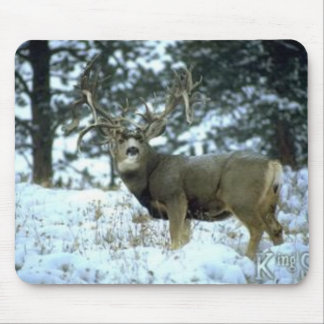 GetAttachment Muismat