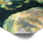 Getekend Great Barrier Reef Coral - #2 Poster (Hoek)