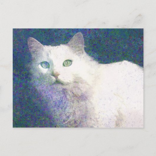 Getextureerd briefkaart van witte katten (Voorkant)