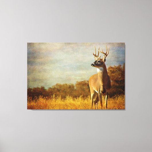 Getextureerde White-tailed Buck Canvas Print (Voorkant)