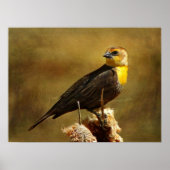 Getextureerde Yell0w Blackbird Framed Print (Voorkant)