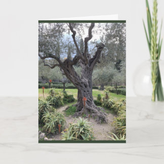 Gethsemane Sympathcard Notitiekaartje
