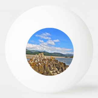 GETIJDE RIVIER PINGPONGBALLEN