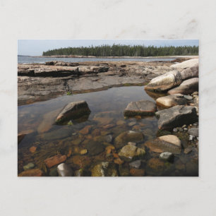 Getijdenpoel bij Wonderland in Acadia National Par Briefkaart
