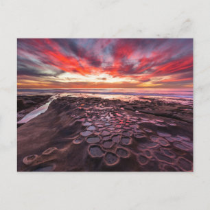 Getijdenpoelen in La Jolla, CA Briefkaart