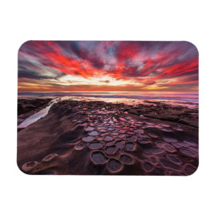 Getijdenpoelen in La Jolla, CA Magneet