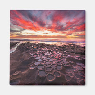 Getijdenpoelen in La Jolla, CA Magneet