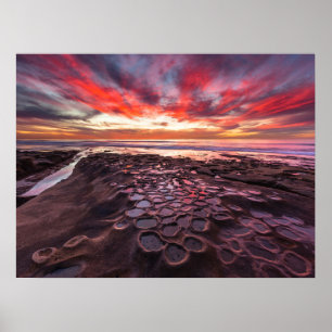 Getijdenpoelen in La Jolla, CA Poster