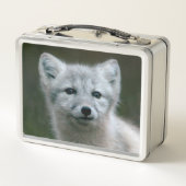 Getty Afbeeldingen | Arctic Fox Kit (Achterkant)