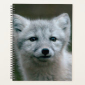 Getty Afbeeldingen | Arctic Fox Kit Planner (Voorkant)