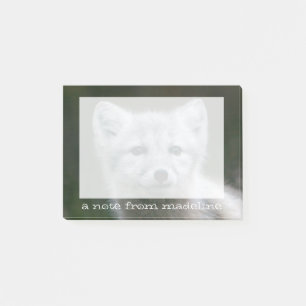 Getty Afbeeldingen Arctic Fox Kit Post-it® Notes