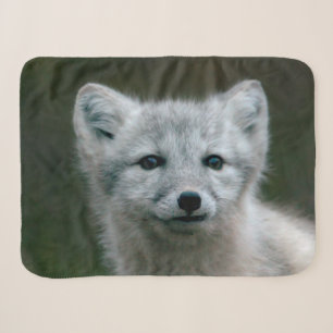 Getty Afbeeldingen Arctic Fox Kit Sherpa Deken