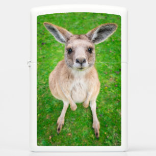 Getty Afbeeldingen   Baby Kangaroo