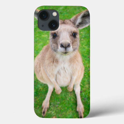 Getty Afbeeldingen | Baby Kangaroo Case-Mate iPhone Case (Achterkant)