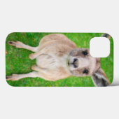 Getty Afbeeldingen | Baby Kangaroo Case-Mate iPhone Case (Achterkant (horizontaal))