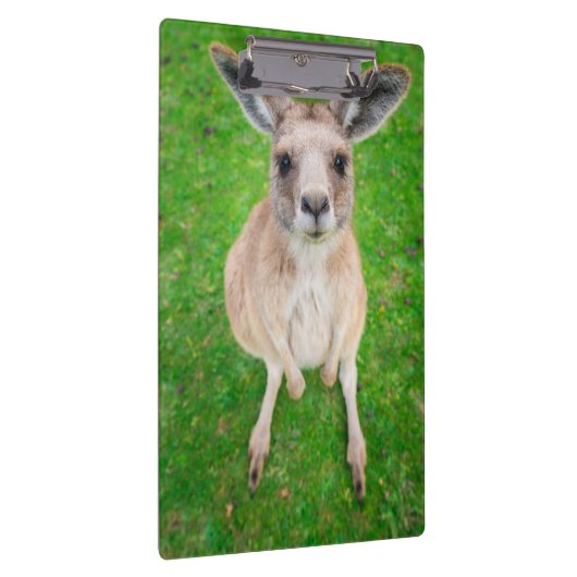 Getty Afbeeldingen | Baby Kangaroo Klembord (Rechts)