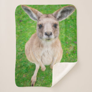 Getty Afbeeldingen   Baby Kangaroo Sherpa Deken
