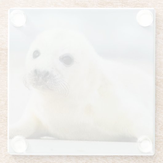 Getty Afbeeldingen | Baby zegel Glazen Onderzetter (Achterkant)