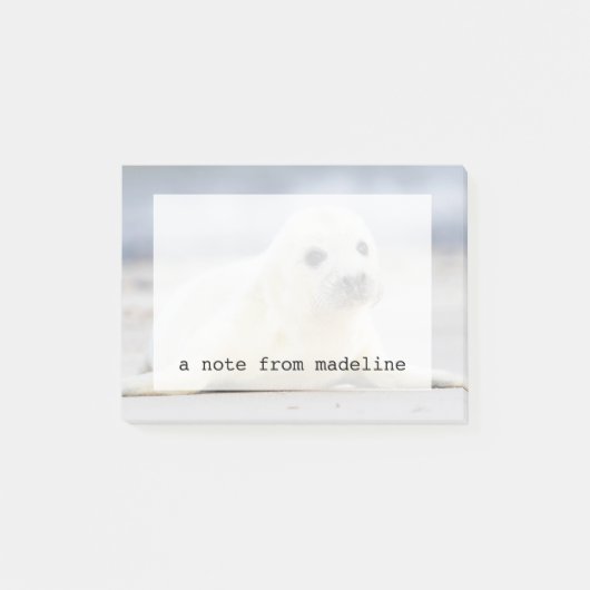 Getty Afbeeldingen | Baby zegel Post-it® Notes (Voorkant)