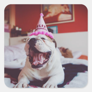 Getty Afbeeldingen British Bulldog Vierkante Sticker