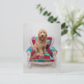 Getty Afbeeldingen | Cute Goldendole Briefkaart (Staand voorkant)