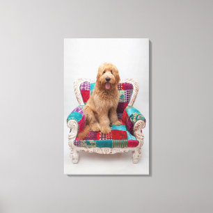 Getty Afbeeldingen   Cute Goldendole Canvas Afdruk