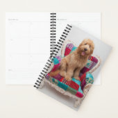 Getty Afbeeldingen | Cute Goldendole Planner (Display)