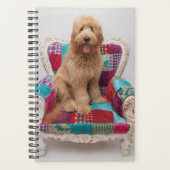 Getty Afbeeldingen | Cute Goldendole Planner (Voorkant)