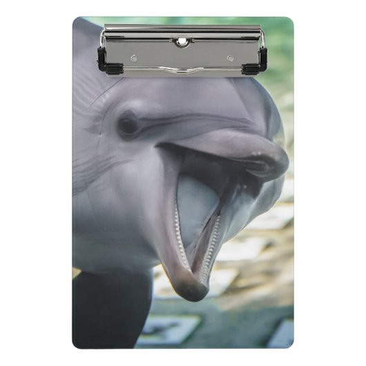 Getty Afbeeldingen | Dolfijnen Mini Klembord (Voorkant)